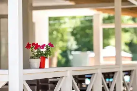 Pansionat DUBLIN-DOLPHIN - 48