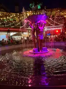 Кардинал - 40