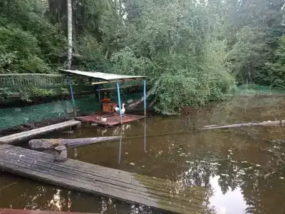 Solontsovo - 92