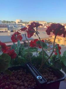 Monastyrski Minsk City Centre - 71