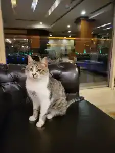 Suenos Golf Belek - 63