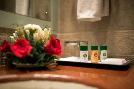 Howard Plaza The Fern, Agra - 32