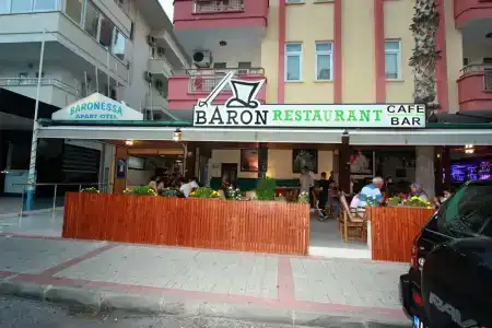 Elegant Baronessa Apart - 42