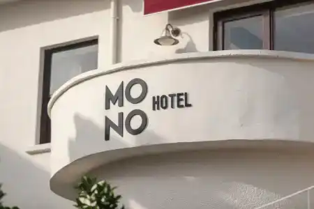 Mono - 31