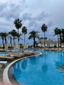 Selectum Family Comfort Side - 2