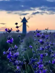 ZaGrad Tourist base - 82