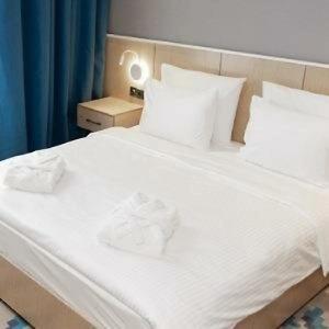 Park Dedeman Almaty - 88