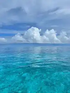 Emerald Maldives Resort & Spa-Deluxe All Inclusive - 13