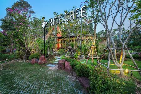 At Rice Resort - 3