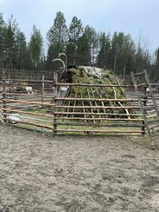 база отдыха Огни Имандры - 92