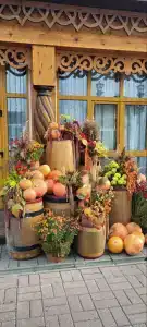 Alesha Popovich Dvor - 28