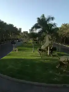 Occidental Sharjah Grand - 18