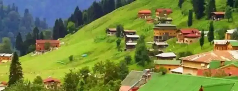 Nazar - 8