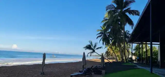 Pandanus Beach Resort & Spa - 28