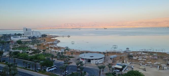 Brown Dead Sea - 26