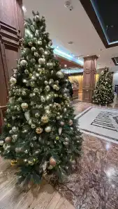 Polyana 1389 & Spa - 93