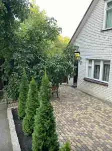 Nochnoy Kvartal - 37