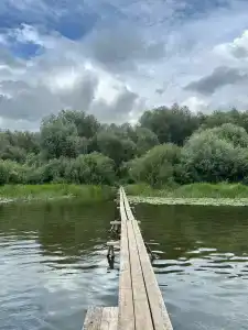 Дачный отель Лесные поляны - 14