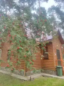 Shahtyor Tourist base - 64