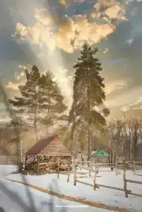 Gostinyij Dvor Znamenskaya Bogatyirskaya Zastava - 33