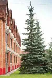 Азимут Кострома - 27