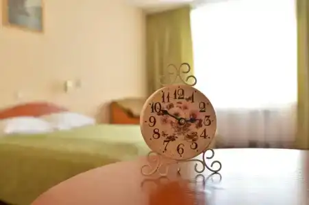 Tsentralny EuroHotel - 15