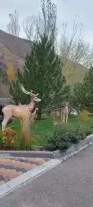Country Village Resort - 80