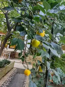 АНДАЛУСИЯ - 8