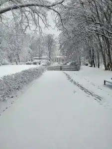 Salut Sanatorium - 34