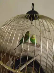 Lesnaya Skazka Restaurant-Complex - 63