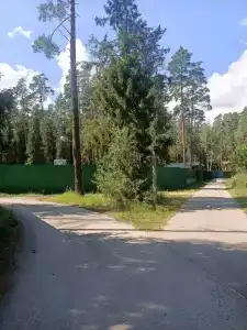 Sol Zhdanovets - 6