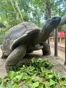 Berjaya Beau Vallon Bay Resort & Casino - 7