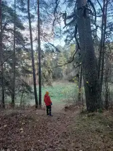 Uchrezhdenie zdravoohraneniya gorodskoy detskiy tsentr meditsinskoy reabilitatsii Praleska Sanatorium - 20
