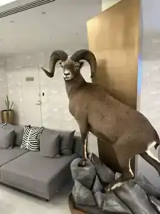 Usad'ba Ohotnika - 39