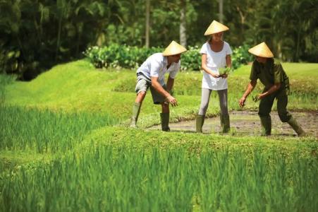 Four Seasons Resort Bali at Sayan - 85