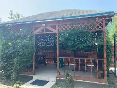 Sibiryachka - 13