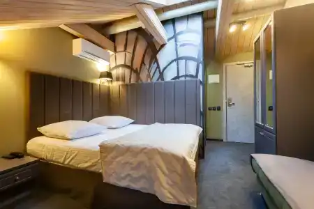 Wellion Baumansky - 10