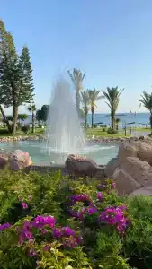 Aqi Pegasos Resort - 49