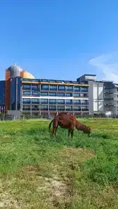 Arnor de Luxe & Spa - 19