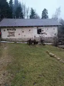 Ethno-Usadba Tourist base - 29