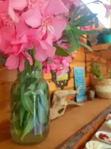 Sunset Boutique & Apartments - 21