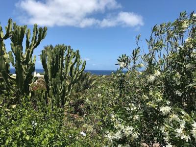 I Dammusini di Pantelleria - 9
