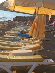 Muz - All Inclusive - 35