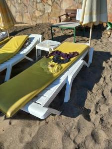 Muz - All Inclusive - 23