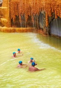 Pam Thermal Clinic & Spa - 2
