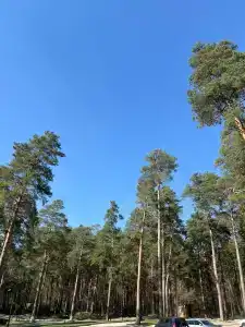 Lesnaya Opushka Tourist base - 9