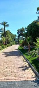 Blue Dreams Resort & SPA - 47