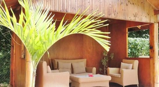 Reef Holiday Apartments - 8