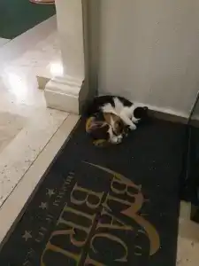 Black Bird Thermal & Spa - 19