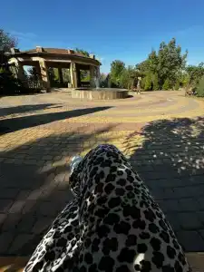 Nadezhda Park-Hotel - 35